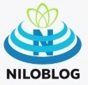 ادرس شنا با دلفین کیش